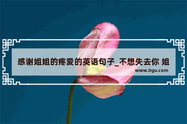 感谢姐姐的疼爱的英语句子_不想失去你 姐姐 英语句子