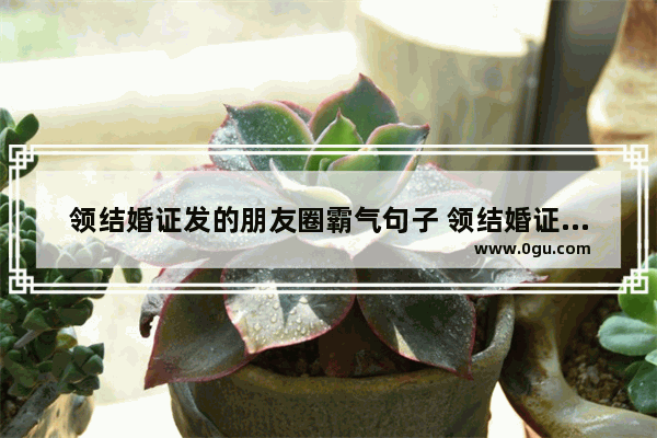 领结婚证发的朋友圈霸气句子 领结婚证唯美的句子