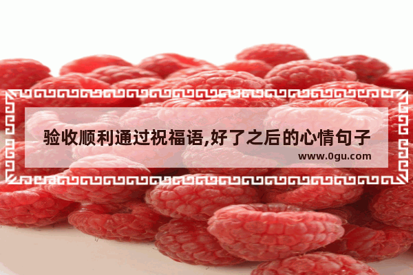 验收顺利通过祝福语,好了之后的心情句子