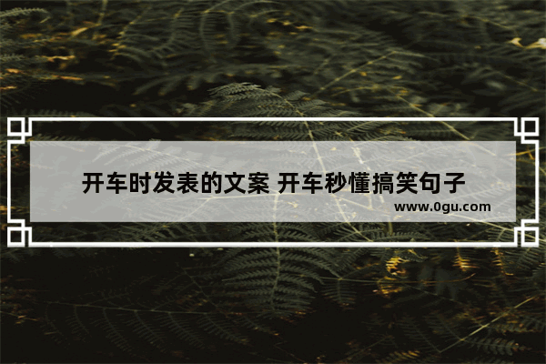 开车时发表的文案 开车秒懂搞笑句子