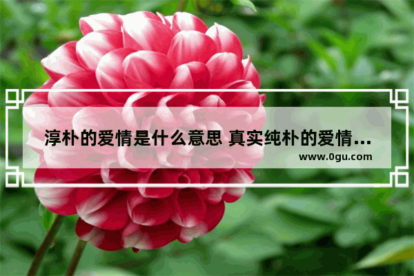 淳朴的爱情是什么意思 真实纯朴的爱情句子
