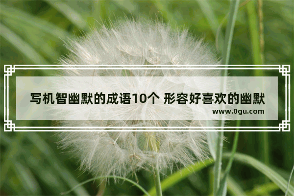 写机智幽默的成语10个 形容好喜欢的幽默句子成语