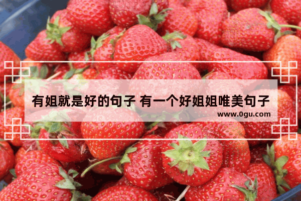 有姐就是好的句子 有一个好姐姐唯美句子