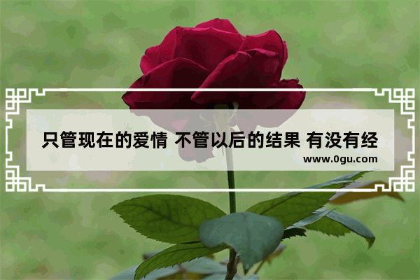 只管现在的爱情 不管以后的结果 有没有经典语录_36数字爱情是什么意思