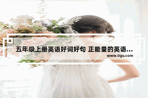 五年级上册英语好词好句 正能量的英语名言句子摘抄