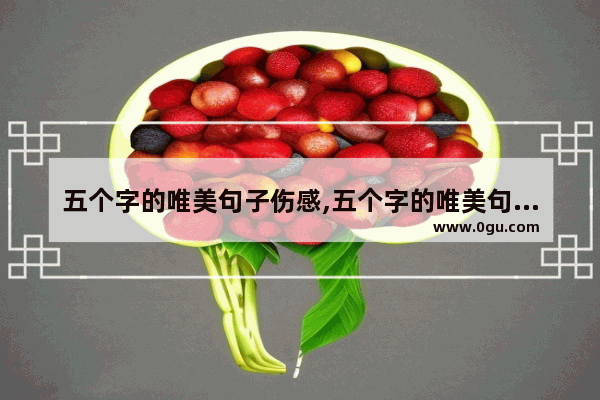 五个字的唯美句子伤感,五个字的唯美句子伤感