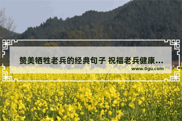 赞美牺牲老兵的经典句子 祝福老兵健康平安的句子