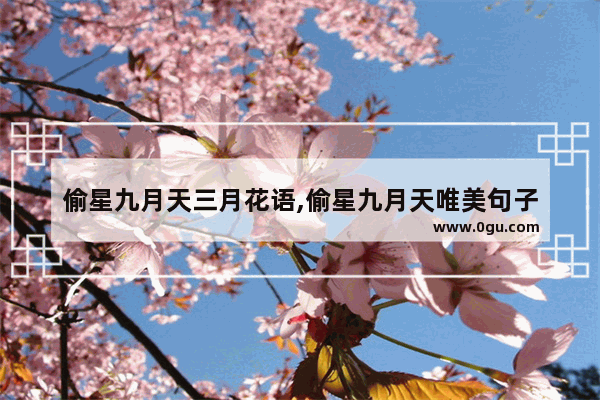 偷星九月天三月花语,偷星九月天唯美句子