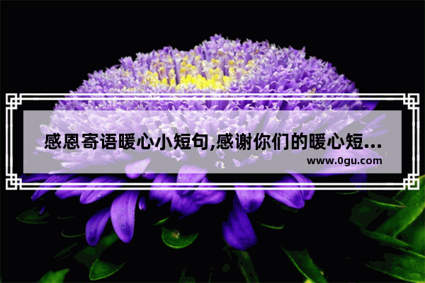 感恩寄语暖心小短句,感谢你们的暖心短句子