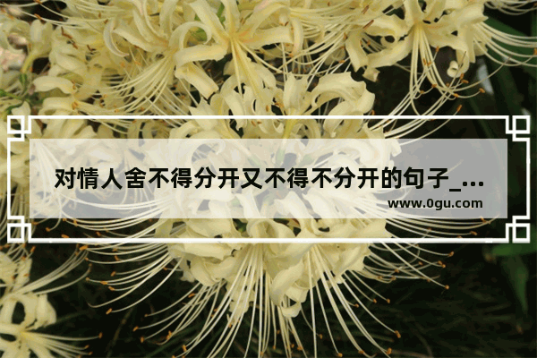 对情人舍不得分开又不得不分开的句子_两个好小朋友分开的说说