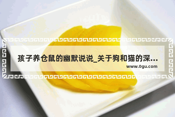 孩子养仓鼠的幽默说说_关于狗和猫的深度句子