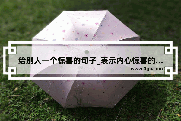 给别人一个惊喜的句子_表示内心惊喜的句子