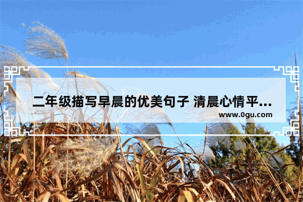 二年级描写早晨的优美句子 清晨心情平静的优雅句子