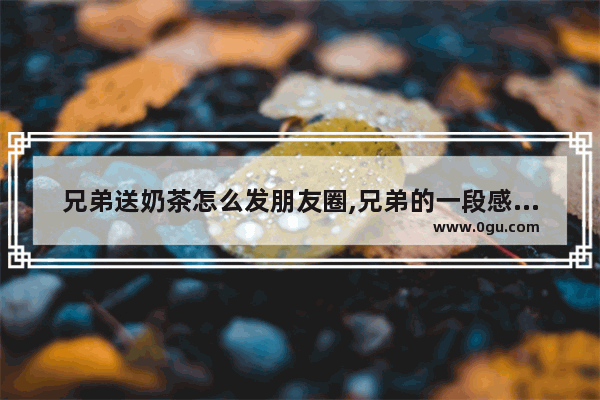 兄弟送奶茶怎么发朋友圈,兄弟的一段感情句子
