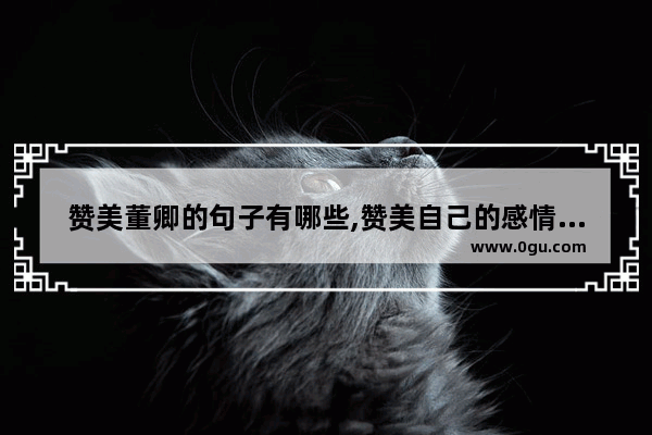 赞美董卿的句子有哪些,赞美自己的感情说说句子