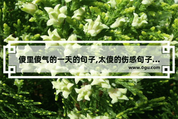 傻里傻气的一天的句子,太傻的伤感句子说说心情