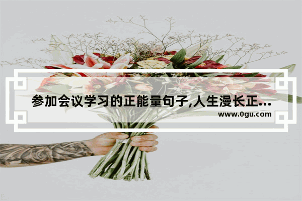 参加会议学习的正能量句子,人生漫长正能量句子短句