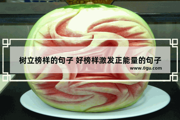 树立榜样的句子 好榜样激发正能量的句子