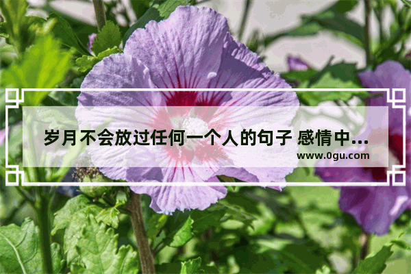 岁月不会放过任何一个人的句子 感情中放过自己的句子说说