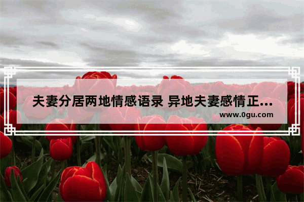 夫妻分居两地情感语录 异地夫妻感情正能量句子