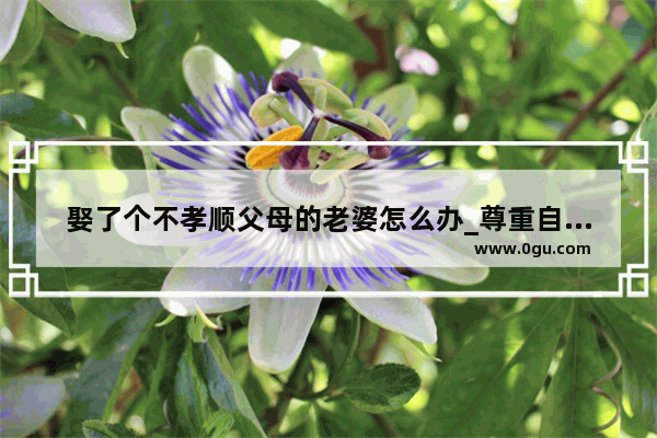 娶了个不孝顺父母的老婆怎么办_尊重自己喜欢的女人的句子
