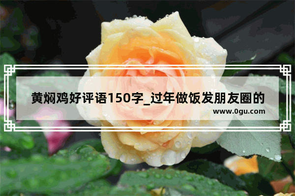 黄焖鸡好评语150字_过年做饭发朋友圈的幽默高兴句子