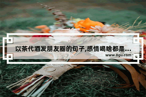 以茶代酒发朋友圈的句子,感情喝啥都是酒的句子