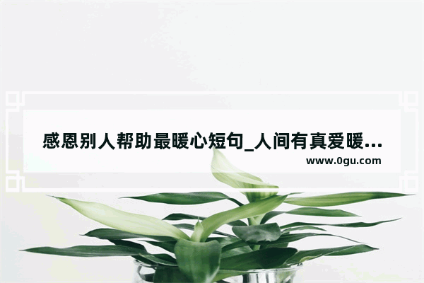 感恩别人帮助最暖心短句_人间有真爱暖心文案