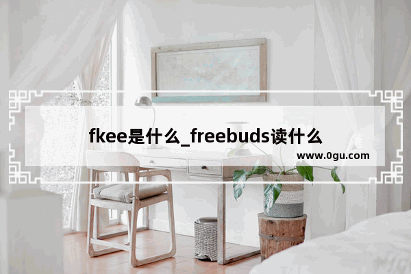 fkee是什么_freebuds读什么