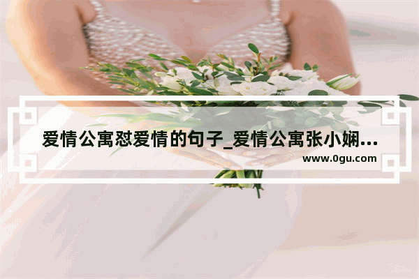 爱情公寓怼爱情的句子_爱情公寓张小娴经典语句