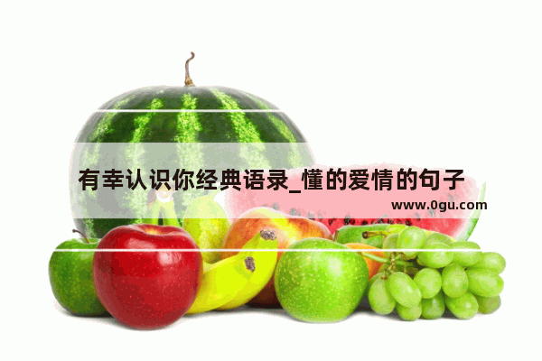 有幸认识你经典语录_懂的爱情的句子