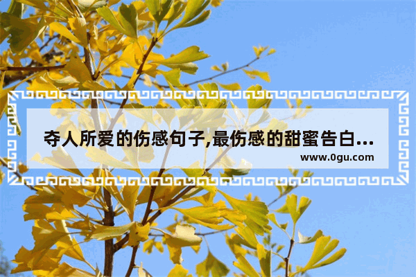 夺人所爱的伤感句子,最伤感的甜蜜告白句子