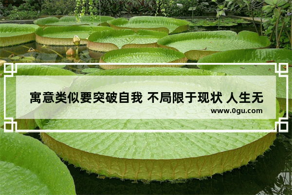 寓意类似要突破自我 不局限于现状 人生无止境的成语 自我突破的正能量句子短句