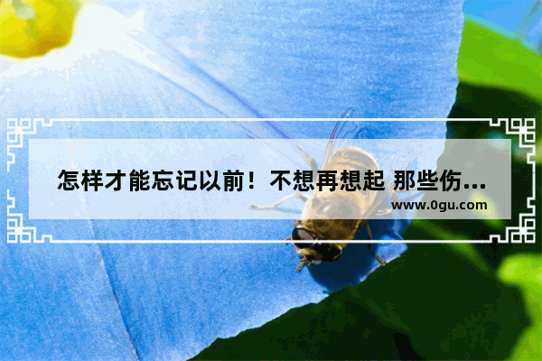 怎样才能忘记以前！不想再想起 那些伤心事谁能告诉我怎么办_丧系文案关于忘掉过去