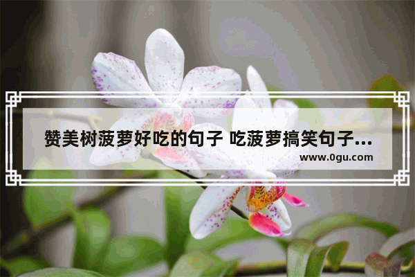 赞美树菠萝好吃的句子 吃菠萝搞笑句子说说