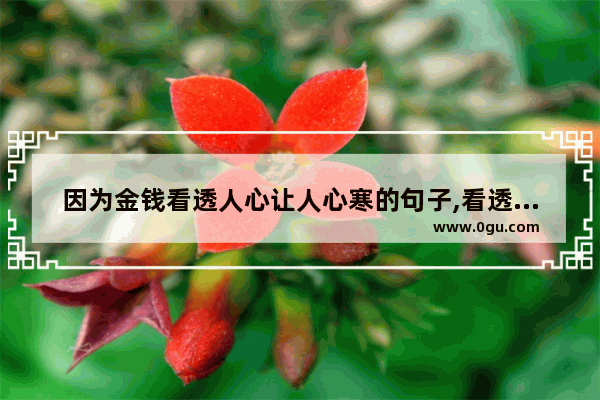 因为金钱看透人心让人心寒的句子,看透人生看透人的句子