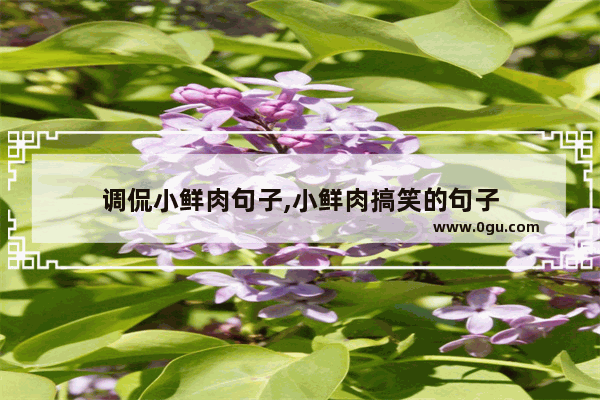 调侃小鲜肉句子,小鲜肉搞笑的句子