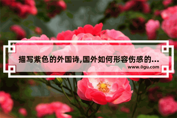 描写紫色的外国诗,国外如何形容伤感的句子