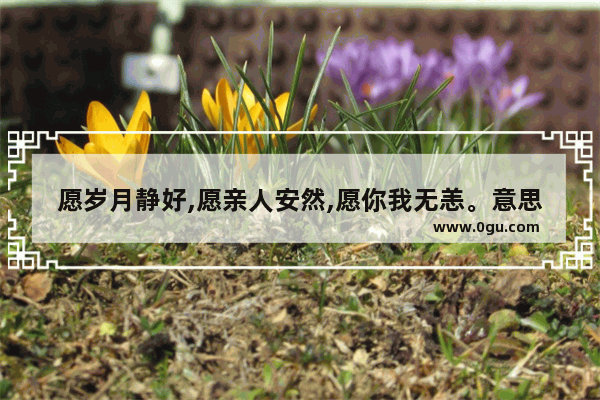 愿岁月静好,愿亲人安然,愿你我无恙。意思,唯美句子家人