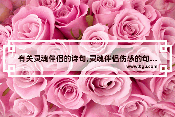 有关灵魂伴侣的诗句,灵魂伴侣伤感的句子说说