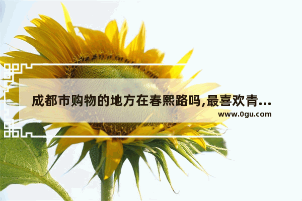 成都市购物的地方在春熙路吗,最喜欢青年路的句子