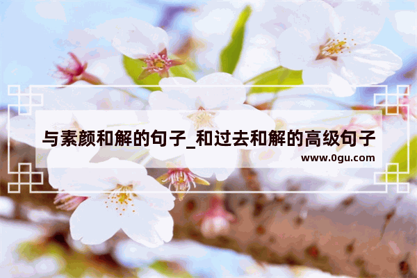 与素颜和解的句子_和过去和解的高级句子