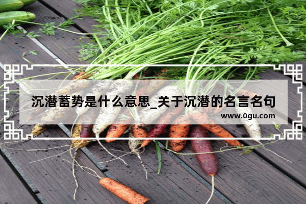 沉潜蓄势是什么意思_关于沉潜的名言名句