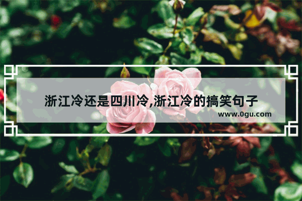 浙江冷还是四川冷,浙江冷的搞笑句子