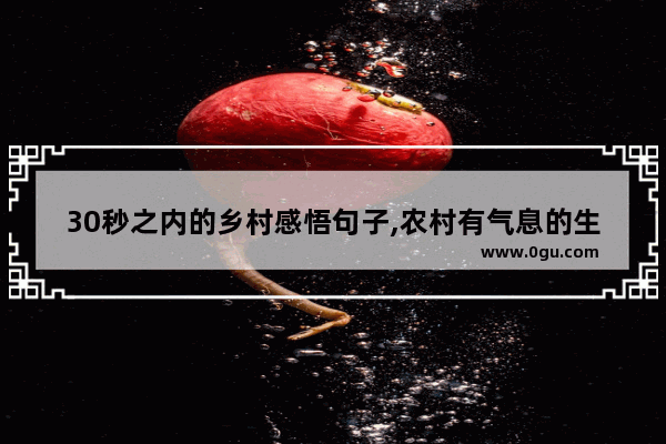 30秒之内的乡村感悟句子,农村有气息的生活句子