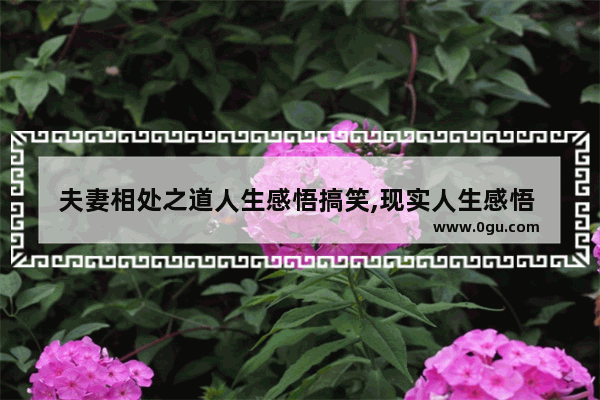 夫妻相处之道人生感悟搞笑,现实人生感悟 搞笑句子