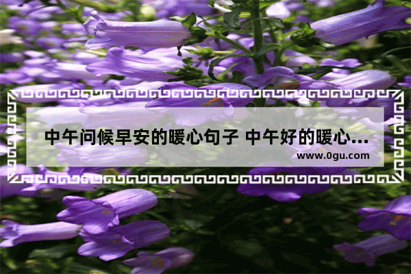 中午问候早安的暖心句子 中午好的暖心句子图片大全