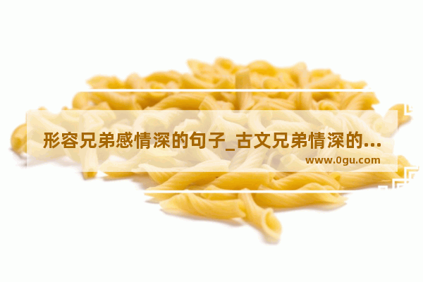 形容兄弟感情深的句子_古文兄弟情深的简短句子