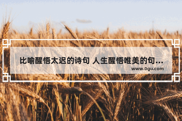 比喻醒悟太迟的诗句 人生醒悟唯美的句子诗句