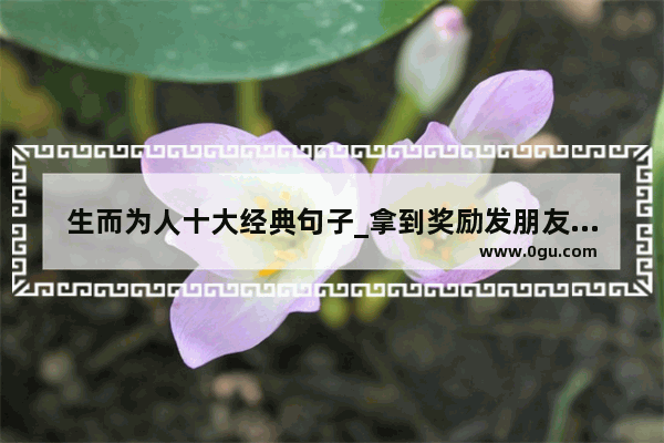 生而为人十大经典句子_拿到奖励发朋友圈的句子
